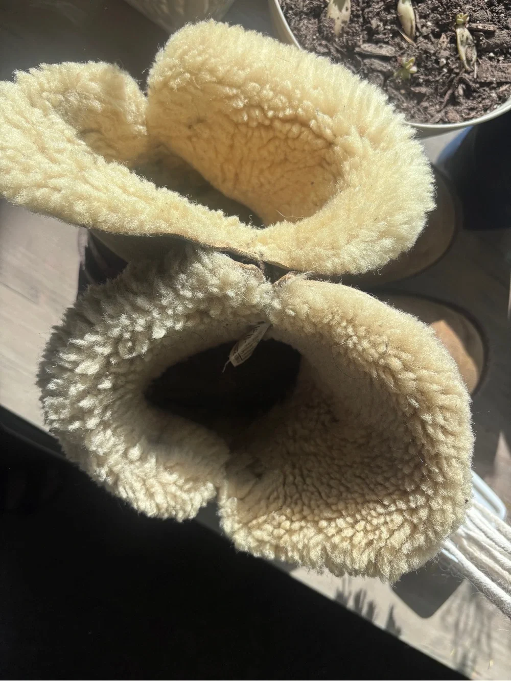 Uggs Women’s Cozy Shearling Lined Suede Boot - Tan